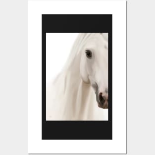 White Horse Posters and Art